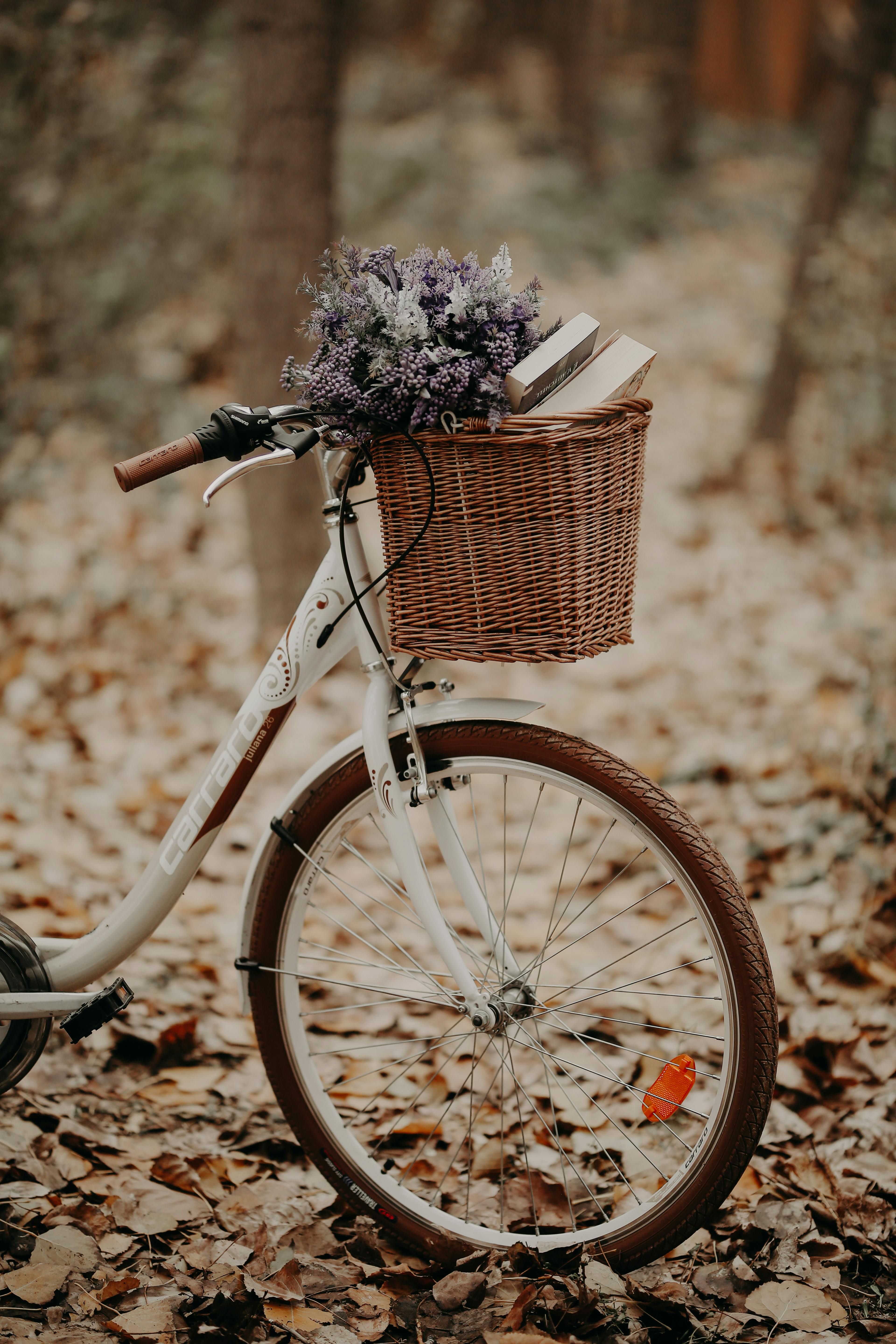 A white bicycle with a wicker basket of flowers stands amidst fallen leaves in an autumn forest.